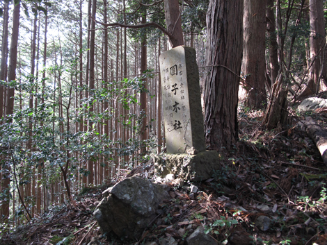 20181009hike (277)